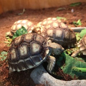 Meet your Posher, Jon